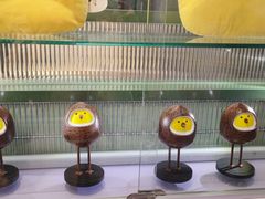 -椰小鸡·琼州糟粕醋·火锅(美兰缤纷城店)