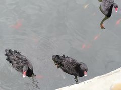 -石家庄市动物园