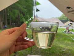 -同里国家湿地公园