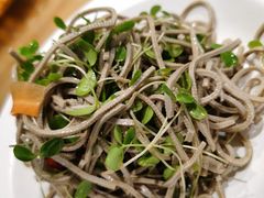 香椿芽豆腐丝-山丹丹西北菜(金贸大厦店)