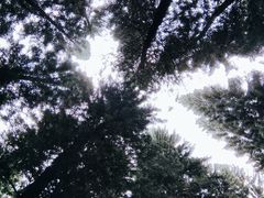 -广州珠江公园