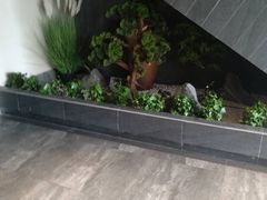 -小江南(高新天泺路店)