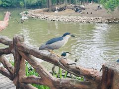 -上海野生动物园