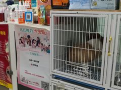-天雅宠物(绿岛苑店)