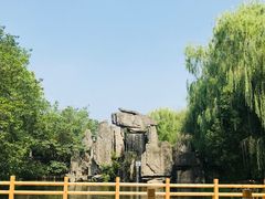 -溱湖国家湿地公园