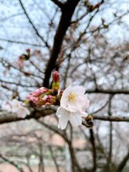 -晴川假日酒店·宴会厅·会议厅