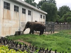 -西安秦岭野生动物园