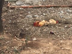 -南京金牛湖风景区