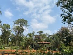 -海南热带野生动植物园