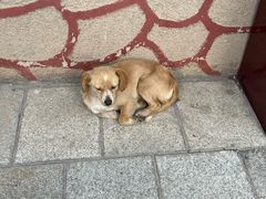-塔尔寺