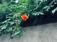 -筑艺咖啡