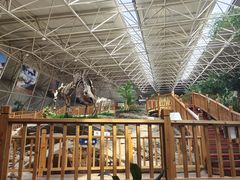 -中国第四纪冰川遗迹陈列馆