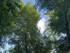 -沈阳市东陵公园