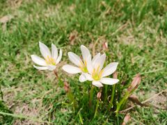 -八大山人梅湖景区