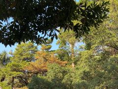 -小洲村