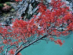 -叠溪松坪沟景区