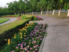 -御林古桑园