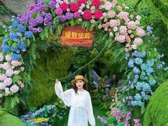 -沂蒙云瀑洞天景区