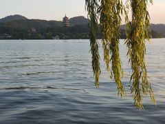 -柳莺湖上·湖景餐厅·江南菜(西湖店)