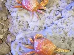-上海长江河口科技馆