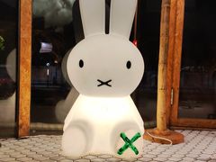 -野草莓自由市场