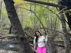 -叠溪松坪沟景区