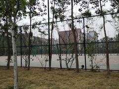 -郑州枫杨外国语学校