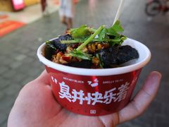 -黑色经典臭豆腐·湖南特产(坡子街店)