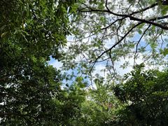 -荔湾区儿童公园