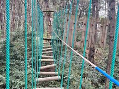 -芦仙山景区-飞越丛林探险乐园