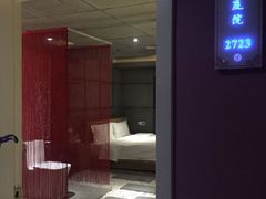 -天鹅恋