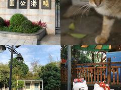 -晓港公园