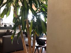 -LIN COFFEE CO(龙珠达店)