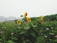 -湖洞水自然风景区