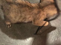 -时光转角咖啡馆(西康路店)