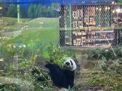 -上海野生动物园