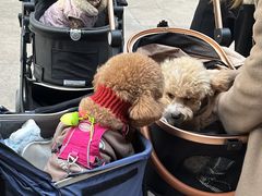 -佛山京华广场MALL