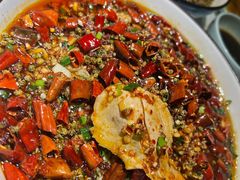 -雲蜀龙阁·金牌水煮鱼(方庄店)