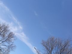 -玫瑰红烤羊排(北新桥三条店)
