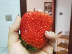 -东方鼎信农副产品交易中心