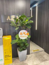-愉己冥想·护发专门店
