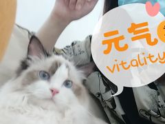 -iF摄影•全家福•证件照•形象照(南山店)