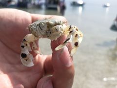 -海盗餐厅