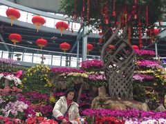 -南通洲际绿博园