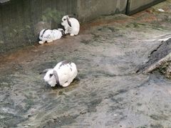 -呀诺达热带雨林