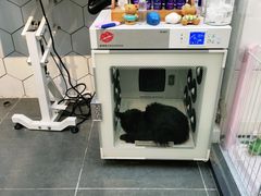 -萌兽医馆·眼科·异宠专科(三里屯店)