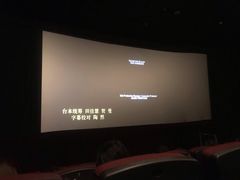 -上海金逸影城(静安大悦城店（原新恒星影城）)