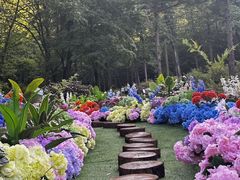 -洛阳白云山景区