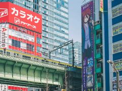 -秋叶原电器街