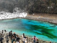 -胡家包子·清真(大众巷店)